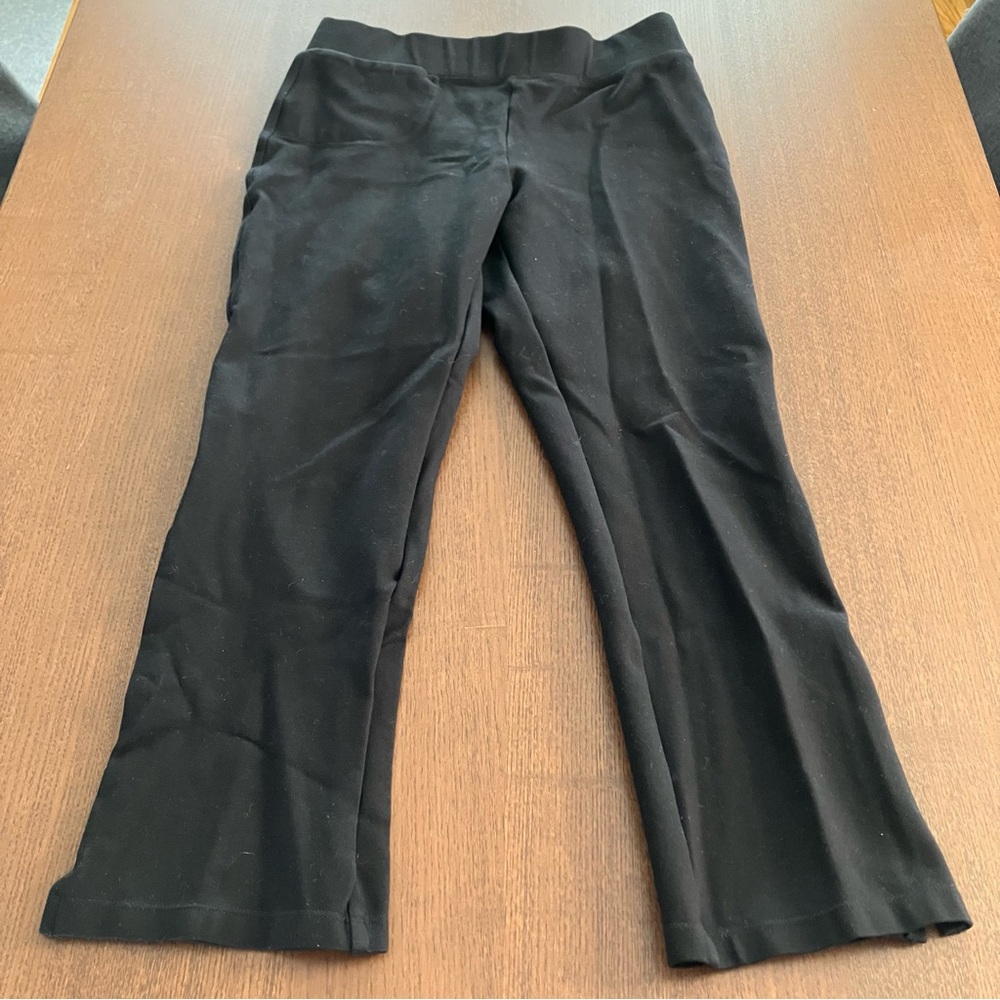 Quince Ultra Stretch Ponte Black Skinny Ankle Work Pants Trousers